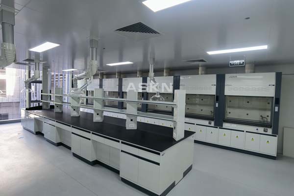 實驗臺通風柜定做廠家